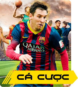 cá cược thể thao