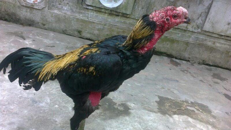 Đừng quên sử dụng y tế hỗ trợ trong quá trình này