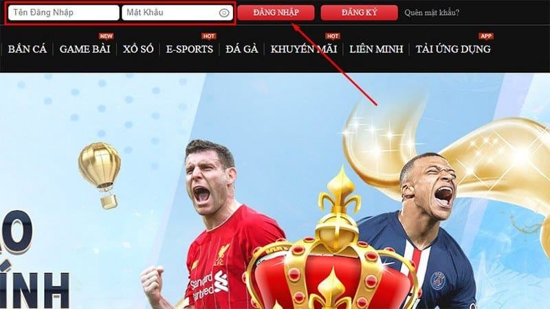 Nếu thông tin đăng nhập chính xác, hệ thống sẽ cho bạn truy cập vào tài khoản